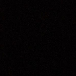 Meet your Posher, Abigail